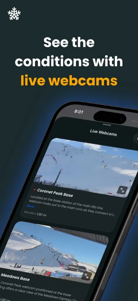 Live webcams at Coronet Peak