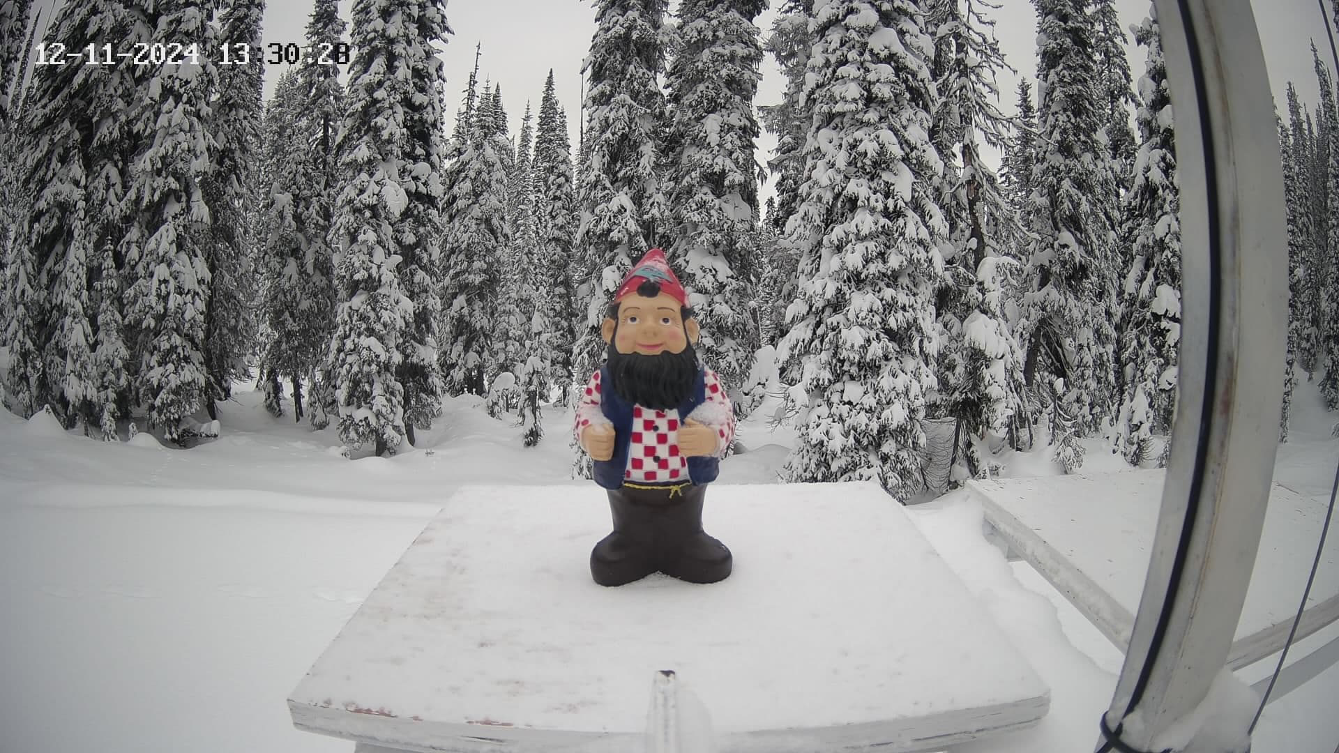 Gnorm the Powder Gnome webcam view