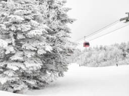 Resort Spotlight: Mont Sainte Anne - Eastern Canada's Vertical Heavyweight Gets the Fundamentals Right