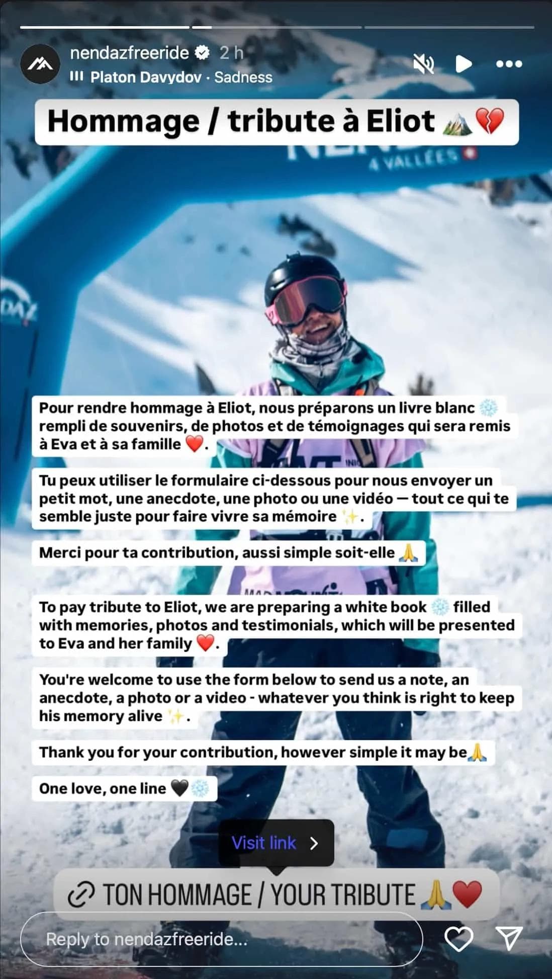 Pro Snowboarder Eliot Dänzer, 23, Among 2 Killed in Eiger Avalanche - body image 1