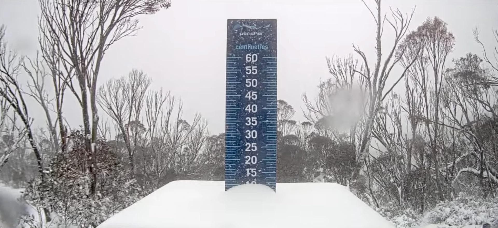Australia's Snow Drought Breaks as Storm "Buries" the Ski Resorts