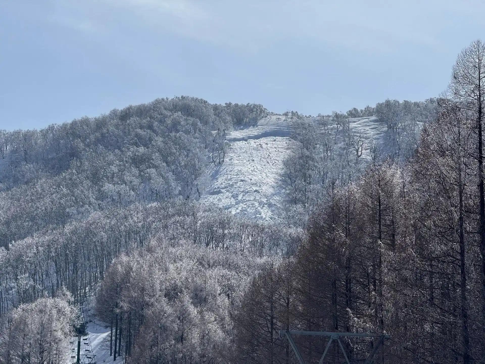 Four Injured in Rare Full-Depth Avalanche on Patrolled Terrain at Madarao Kogen