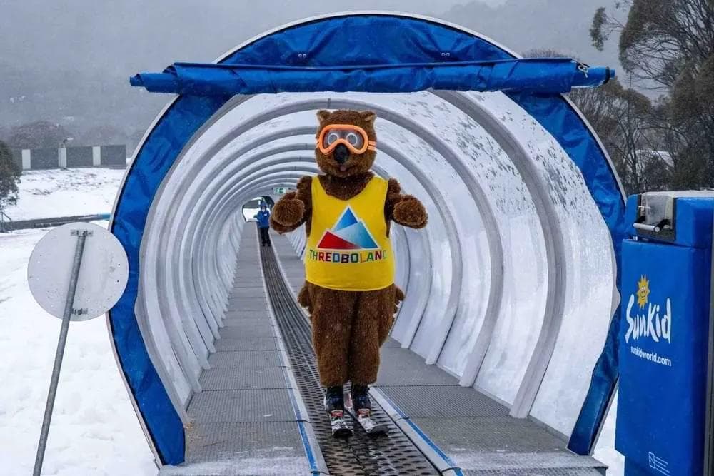 Thredbo Opens New Beginner Surface Lift