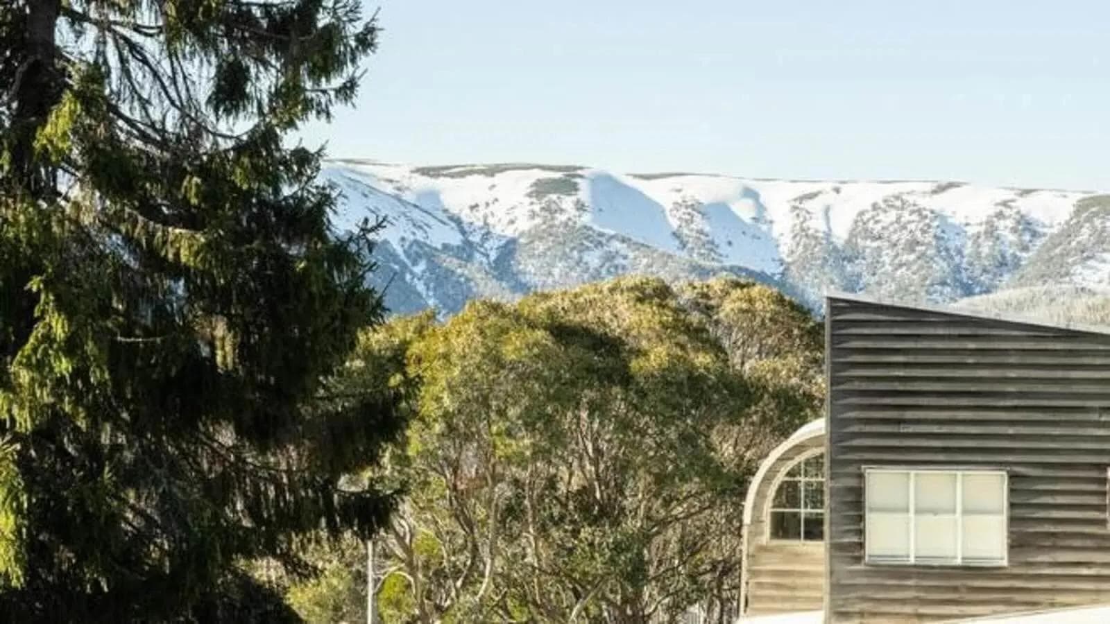 7:1 Arlberg St, Falls Creek 1.jpeg