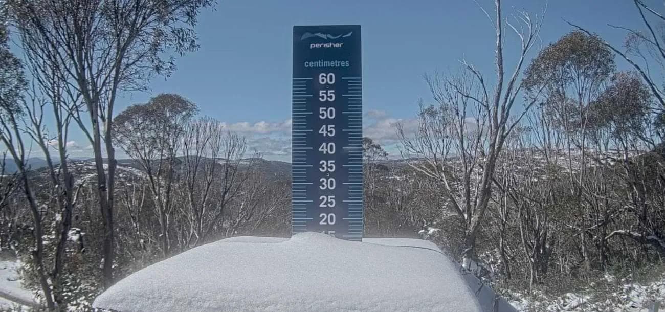 Perisher Wakes Up To 15cm of Fresh Snow