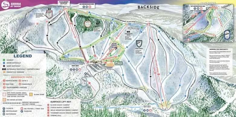 California Ski Area Begins Work On Planting New Tree-Skiing Network - body image 1