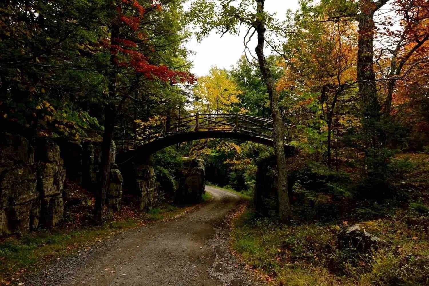 Summer in the Wilderness: Exploring New York's Natural Landscapes