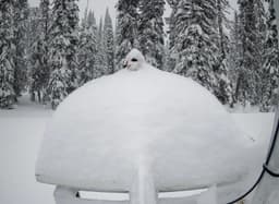 The Revelstoke snow cam