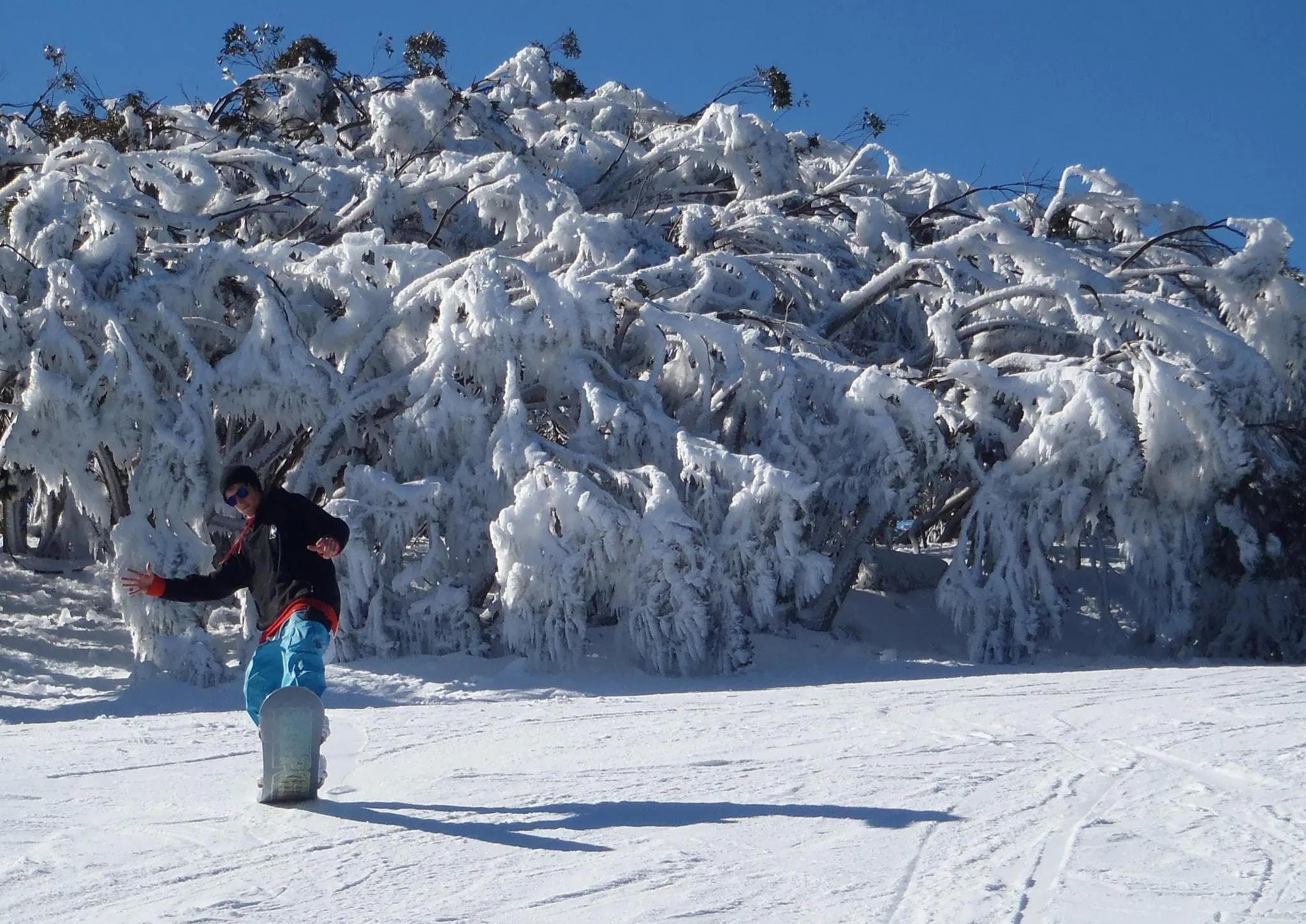 Mount Baw Baw, Australia, Opens This Weekend for the 2025 Winter Season