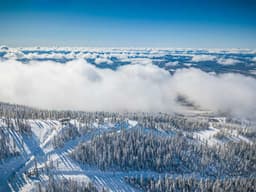 Resort Spotlight: Arizona Snowbowl - The Desert's Unexpected Lift-Served Vertical
