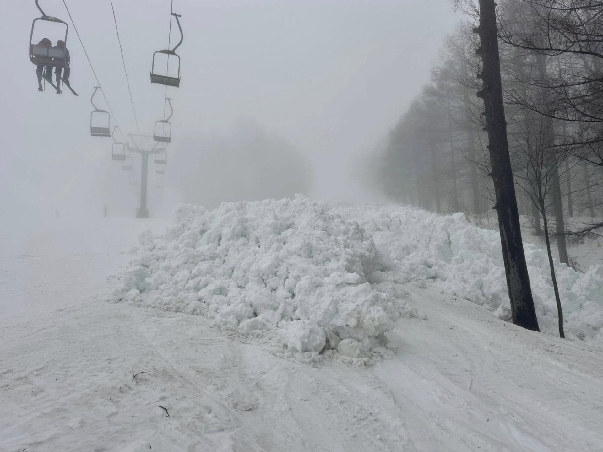The size of the avalanche can be seen in this photo