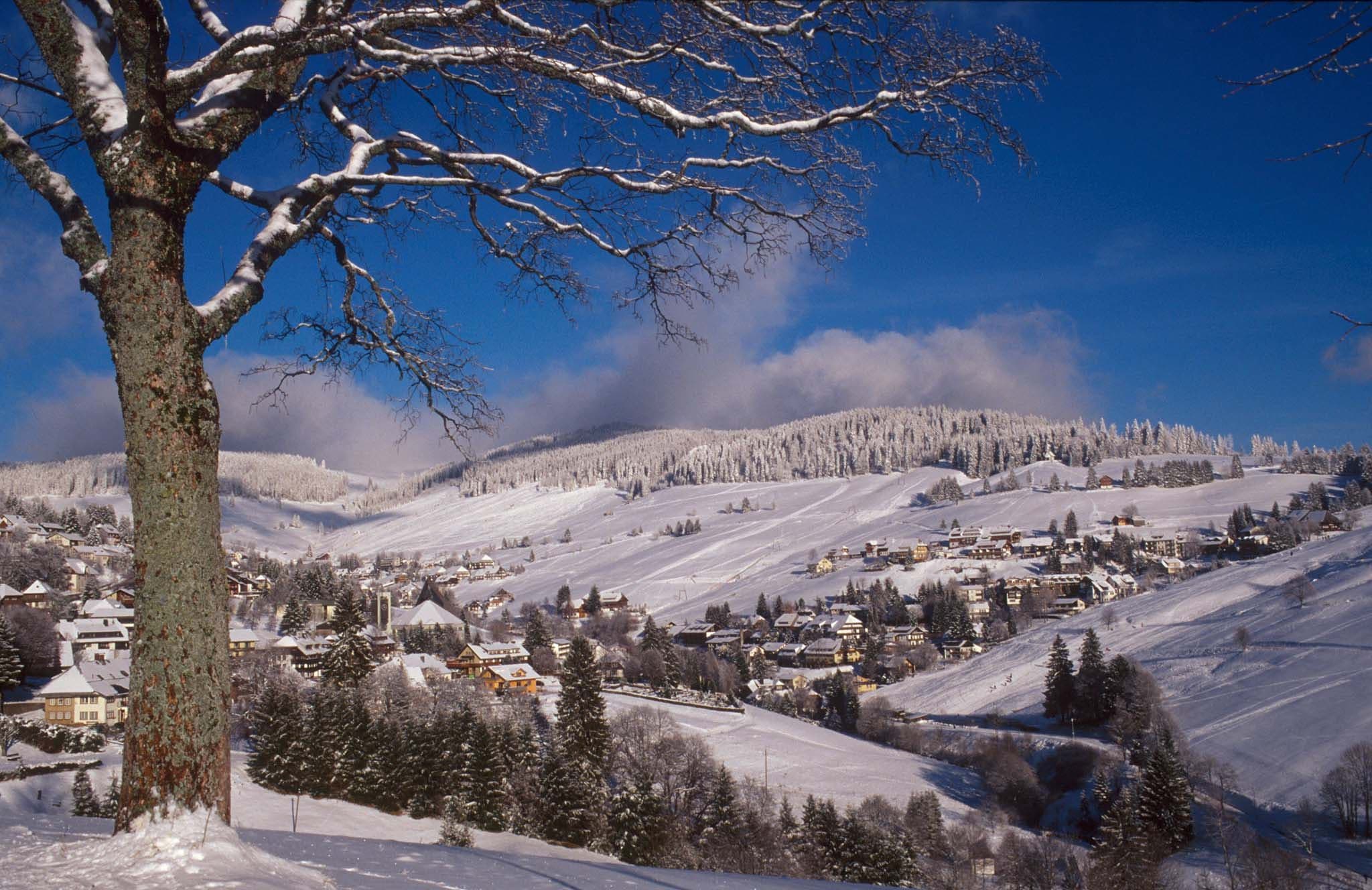 Resort Spotlight: Todtnauberg - Black Forest Skiing Without the Crowd