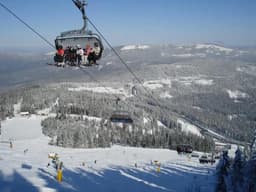 Resort Spotlight: Arber - Bavaria's Highest Resort Without the Alpine Crowds