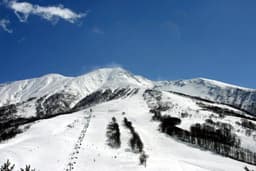 Resort Spotlight: Tazawako - Japan's Deep North Delivers 11 Metres of Snow Without the Crowds