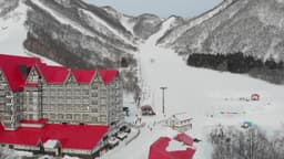 Resort Spotlight: Hakuba Cortina - Hakuba's Tree Skiing Haven That Cruise Ship Crowds Miss