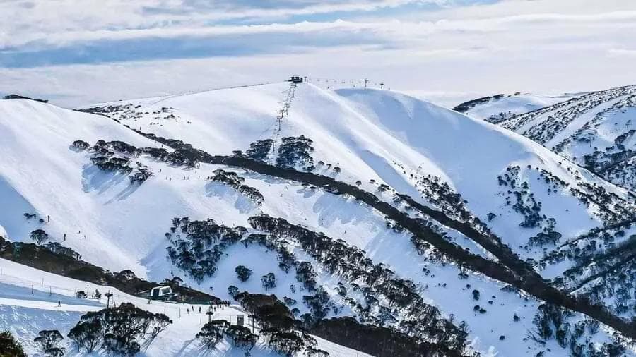 Major Snowfall Forecast for Australian Alps This Long Weekend