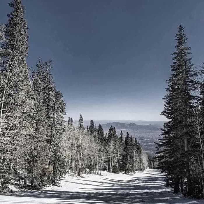 The chondola at Arizona Snowbowl