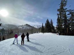 Vail Resorts Hires Defence Bankers as Billionaire Pushes to Buy Park City Mountain Resort