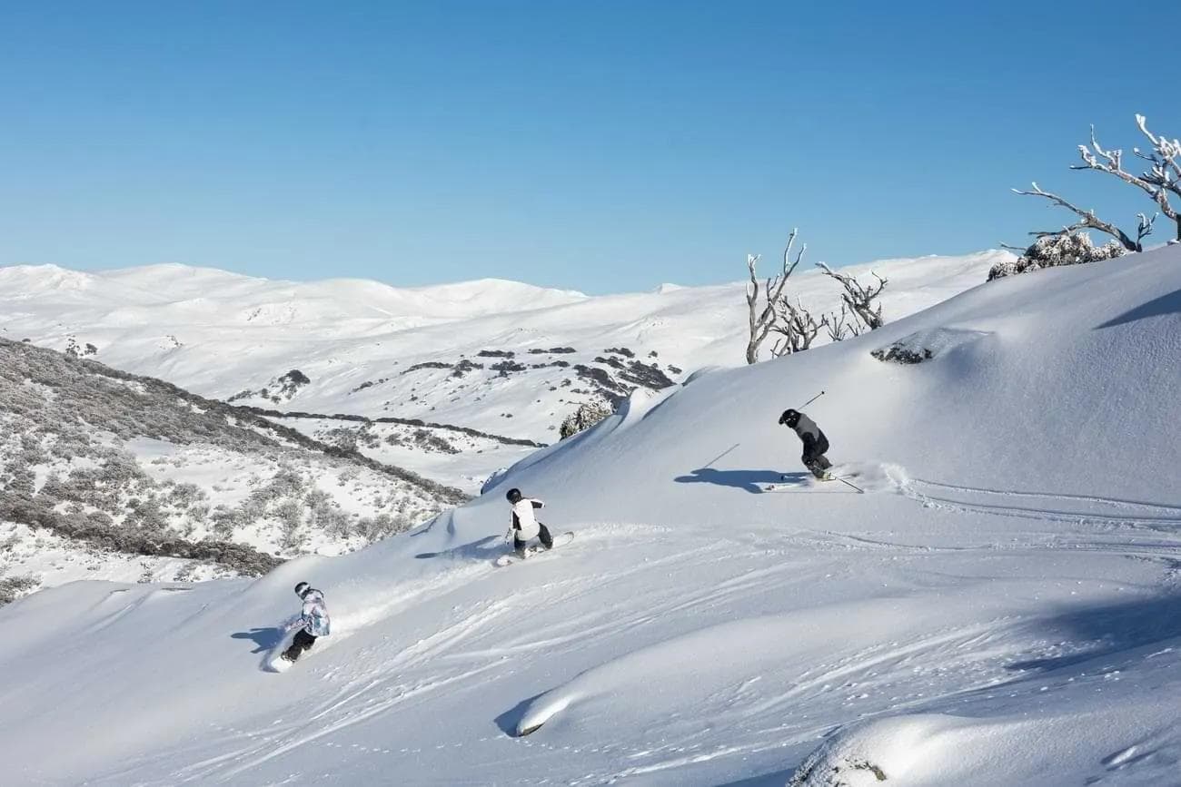 Perisher Launches PEAK Snow Days To Help Guest Plan