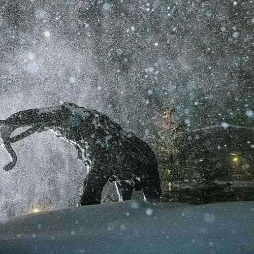 Mammoth Mountain Blizzard Statue.jpg