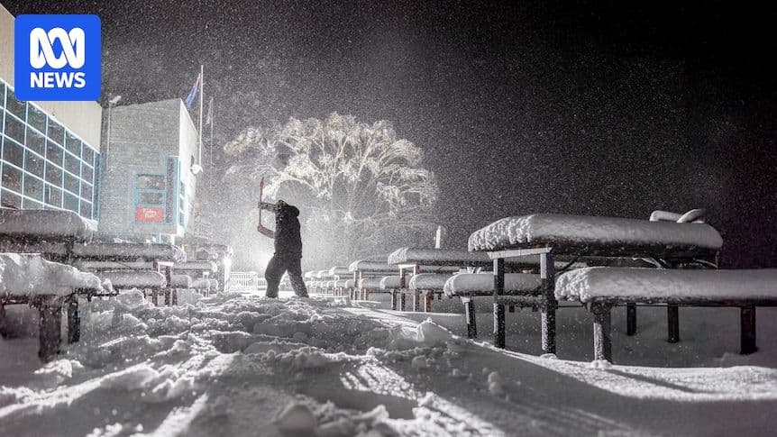 Eastern states shivered through a chilly June, is a warmer winter still on the cards?