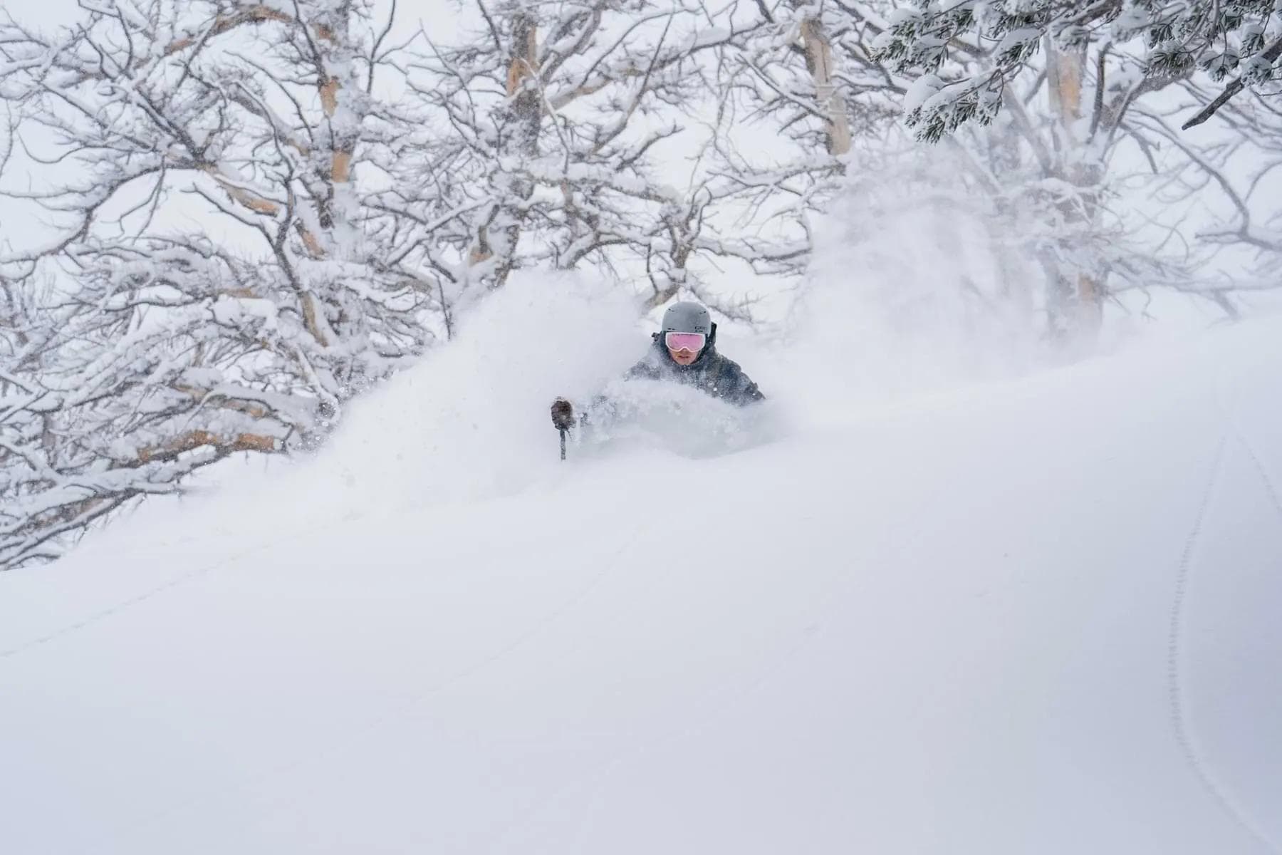 Solitude Mountain Resort Passes 600” Of Snowfall This Season