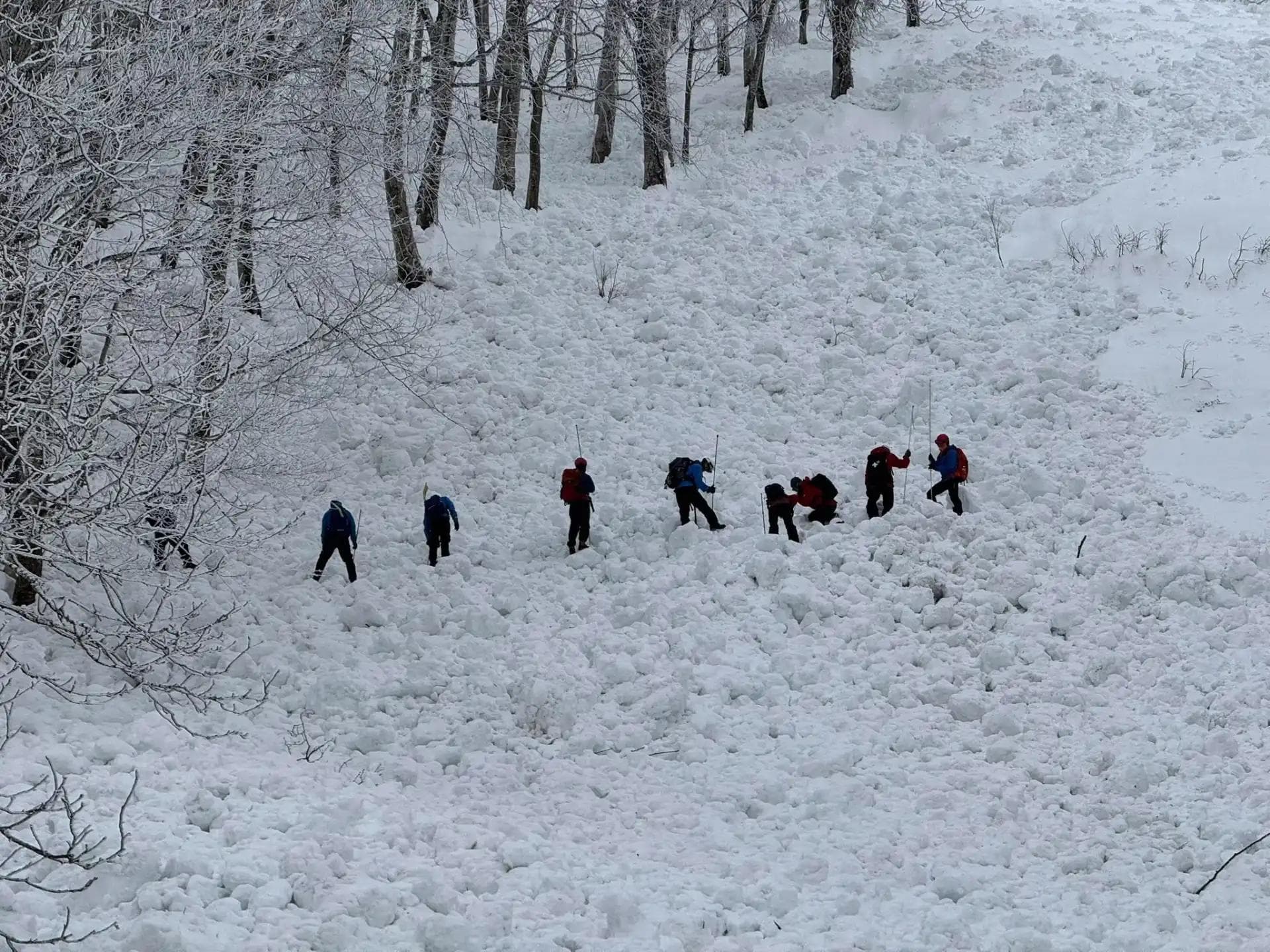 Rescue personal probed the entire slide field. ©️ John Woods Facebook