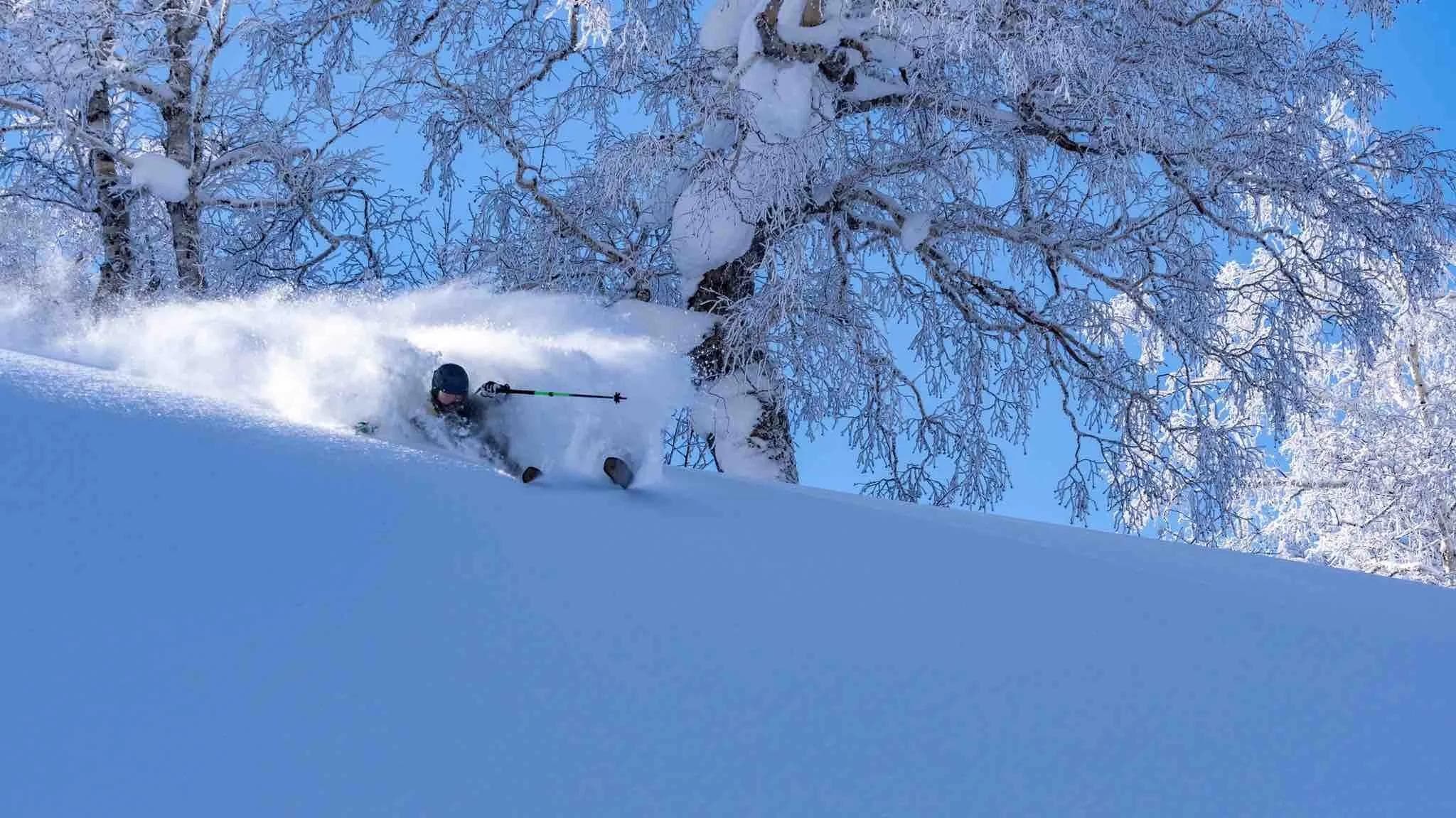 Deep powder skier at Kiroro