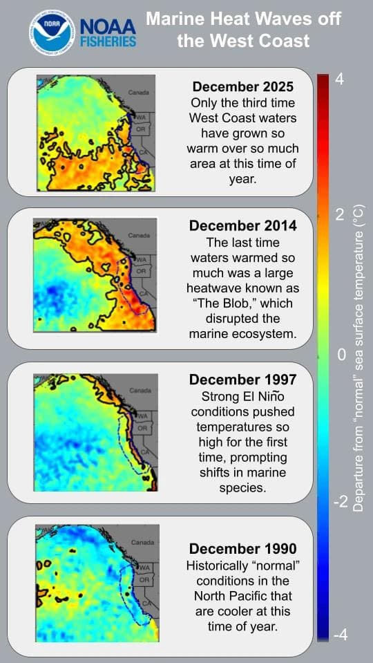 Marine heat waves off the West coast, showing departure from normal sea surface temperatures, 1990-2025. Credit: NOAA Fisheries/Southwest Fisheries Science Center