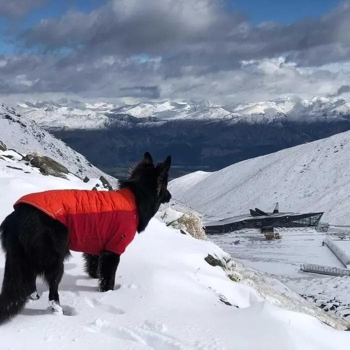 Credit - Remarkables Facebook