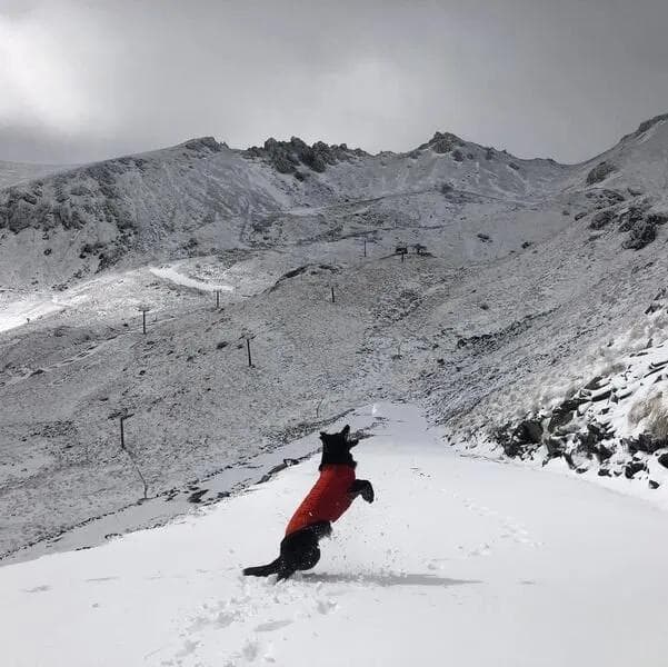 Queenstown ski fields see more than a dusting of summer snow