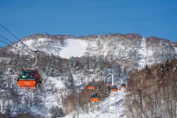 Resort Spotlight: Sapporo Kokusai - The Pragmatic Powder Stop Near Sapporo