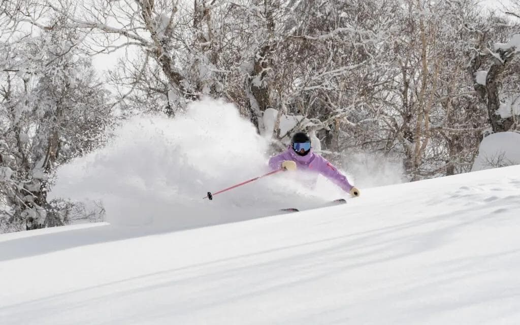 How Much Did It Snow In Niseko This Season? |  Niseko United - body image 2