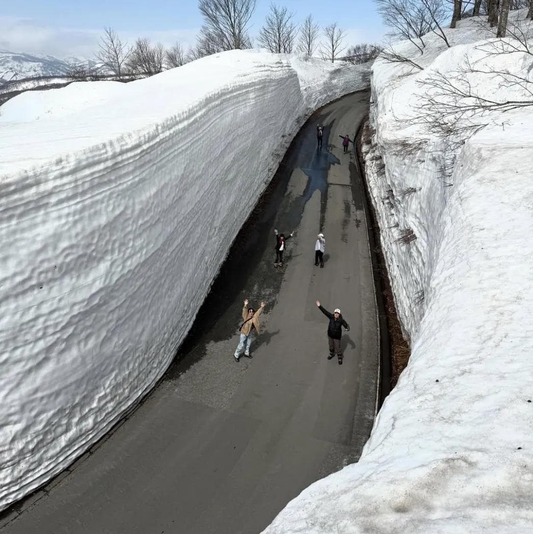 Summer-Only Ski Resort in Japan Opens 2025 Season with Record Snow Depth - body image 2