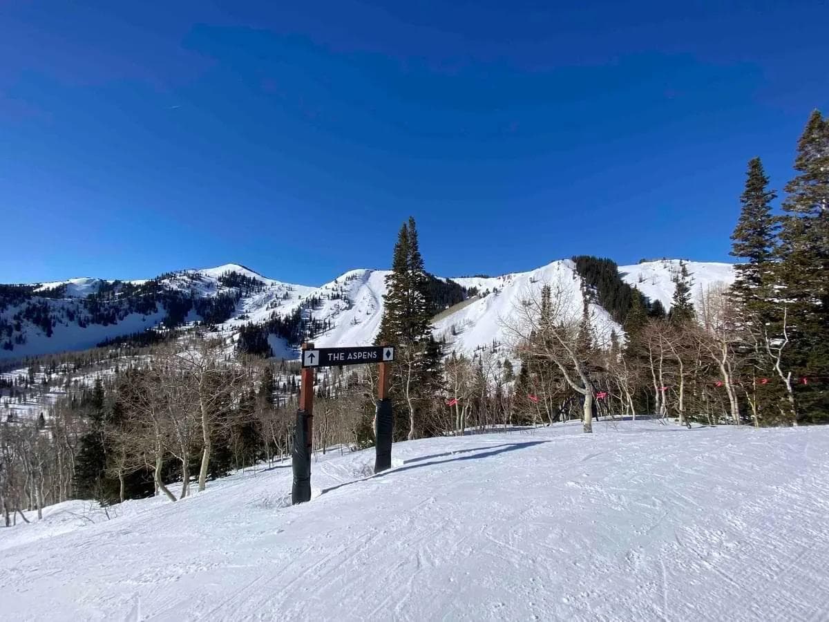 Skiing in Japan vs USA: Which Country Offers Better Value in 2024?