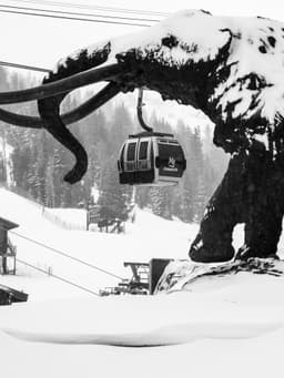 Mammoth Mountain Records 40cm of Snow as California Season Winds Down