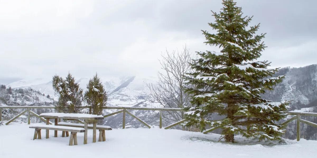 Photos: snow returns to French Alps in July