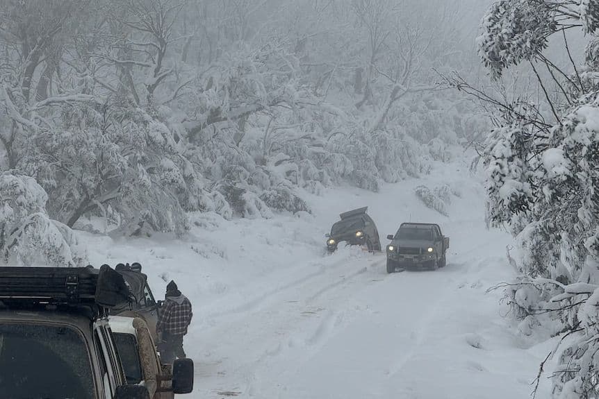 Emergency services mount rescue operation after cars become trapped in heavy snow at Mount Hotham - body image 2