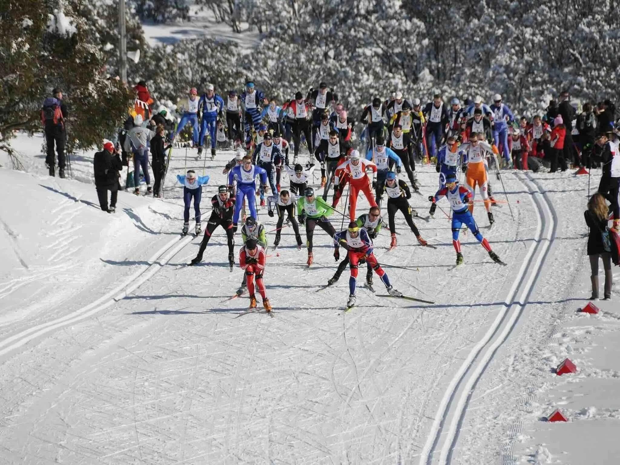 2024 Kangaroo Hoppet Cancelled Due to Poor Snow Conditions