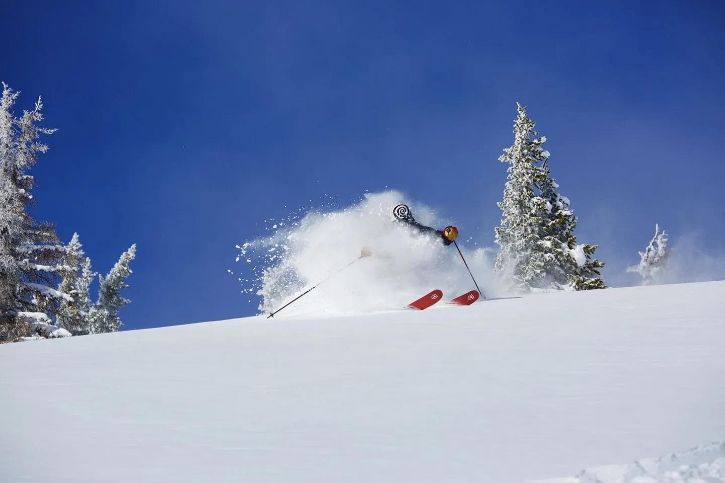 A normal powder filled winter at Monarch.