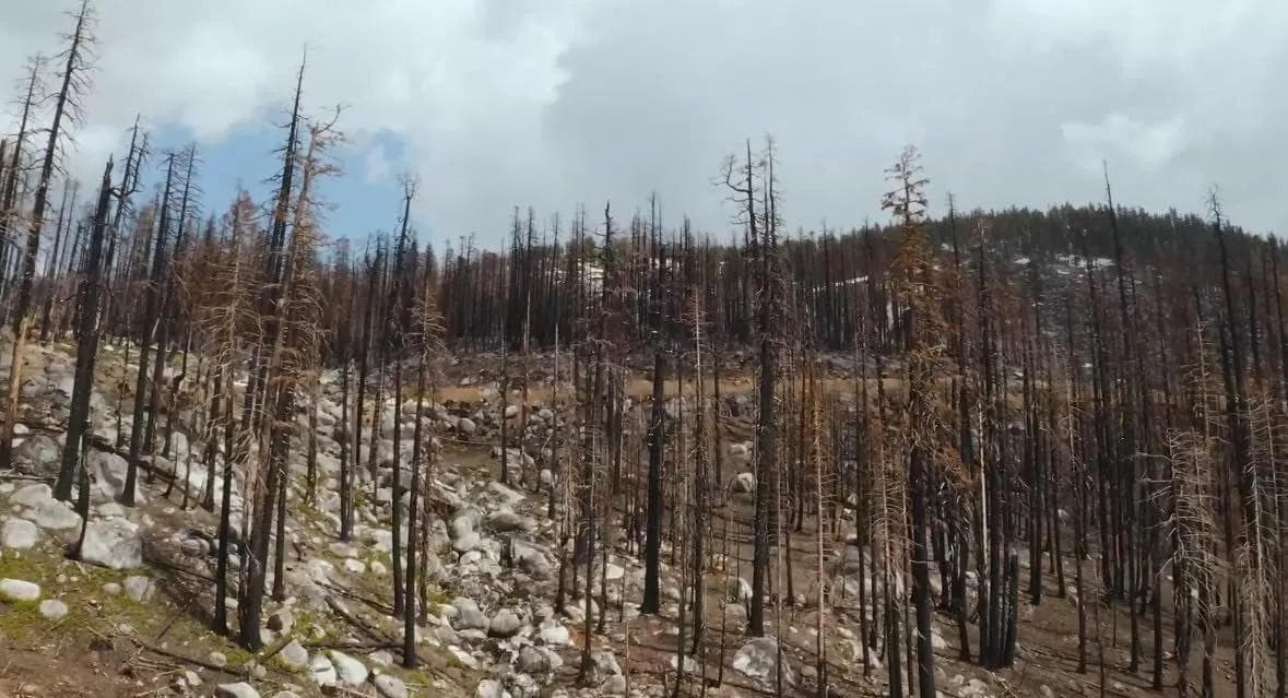Sierra At Tahoe Updates On Terrain Restoration + 23/24 Season Prep