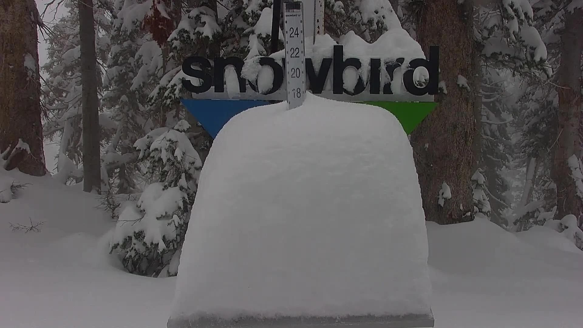 October Powder Storm Totals β Who Got The Goods?